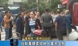 湘潭女子爆料案件最新,真相背后，法律与道德的较量